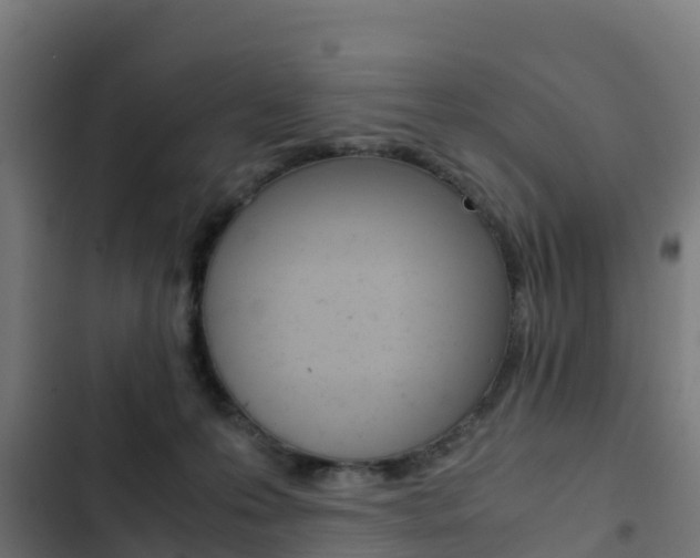 X0000103430223200809121045
