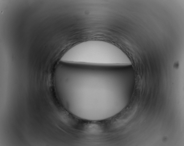 X0000103430224200809121045
