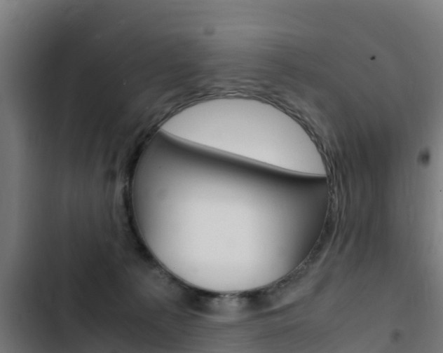 X0000103430225200809121045