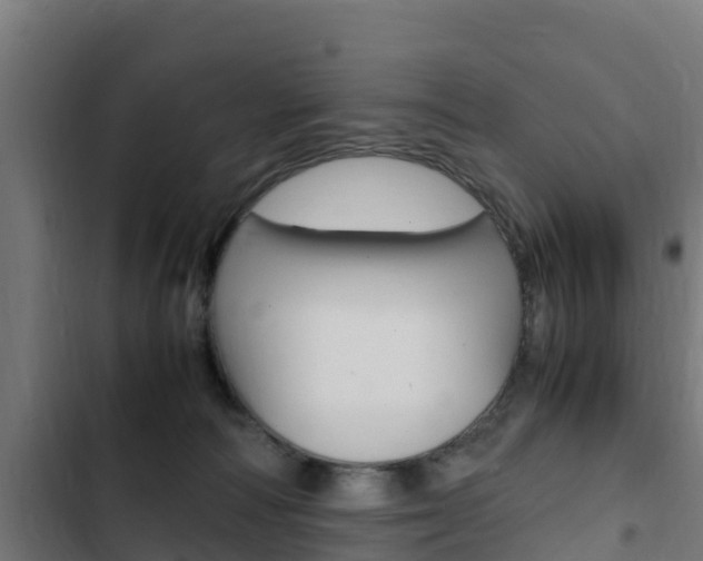 X0000103430226200809121045