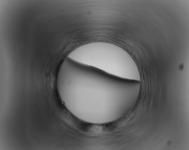 X0000103430227200809121045
