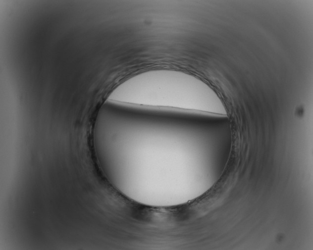 X0000103430229200809121045