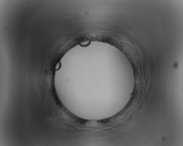 X0000103430231200809121045