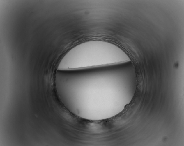 X0000103430232200809121045