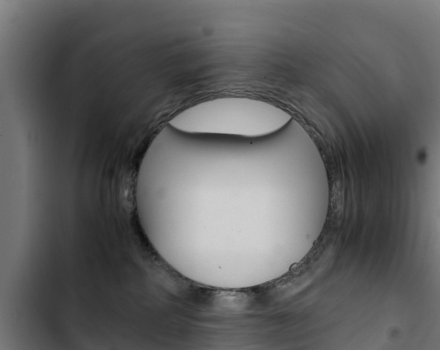 X0000103430234200809121044