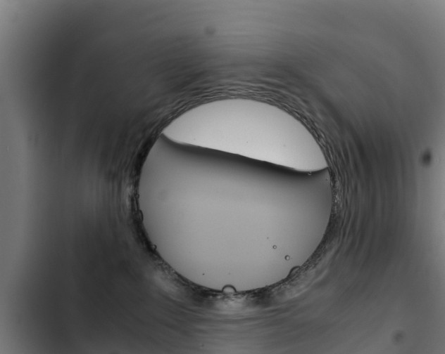 X0000103430235200809121044