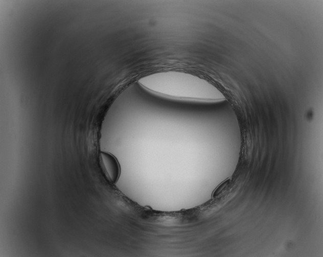 X0000103430236200809121044