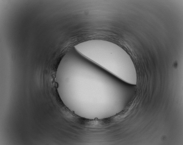 X0000103430237200809121044