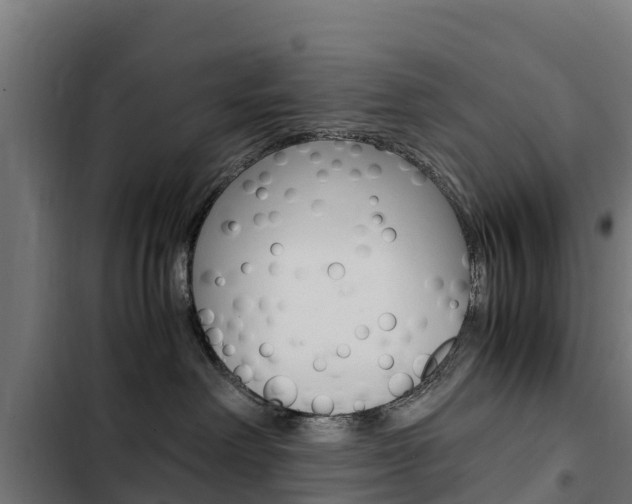 X0000103430238200809121044