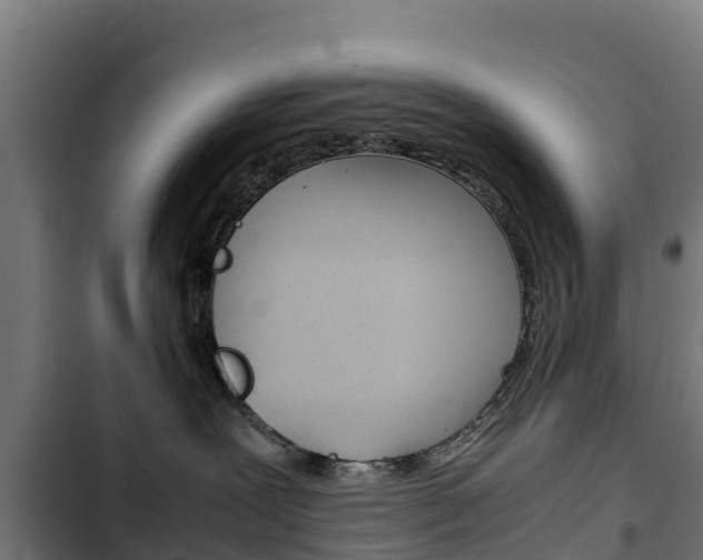 X0000103430239200809121044