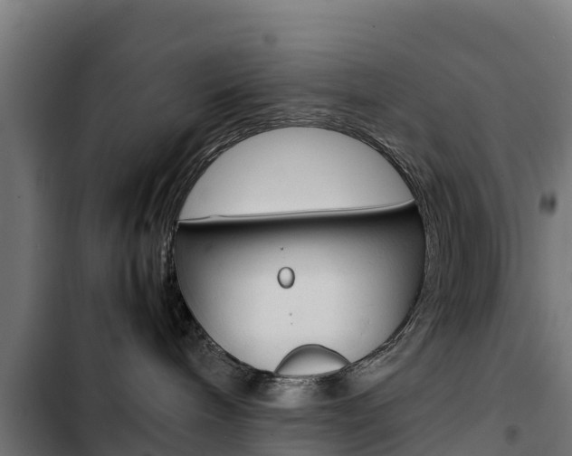 X0000103430240200809121044