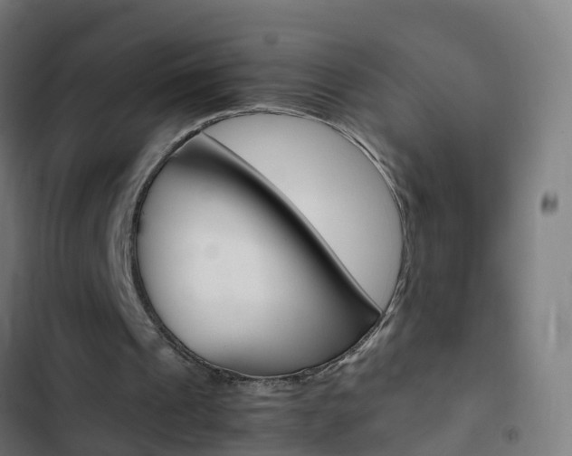 X0000103430241200809121044