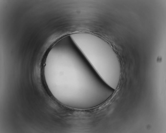 X0000103430242200809121044