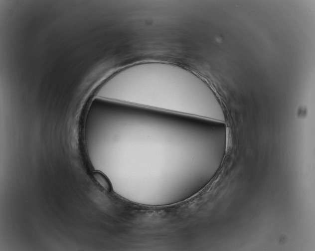 X0000103430243200809121044