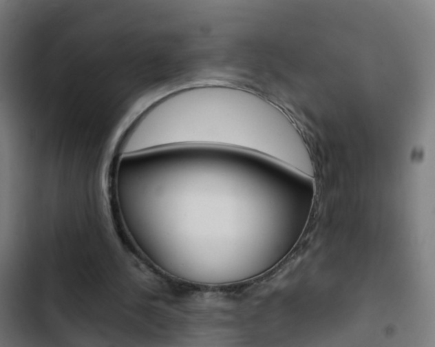 X0000103430244200809121044