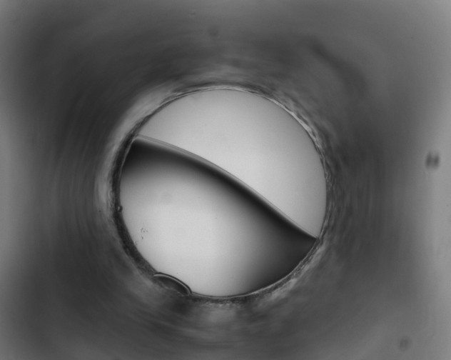 X0000103430245200809121044