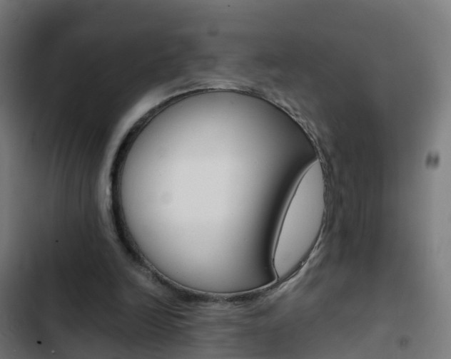 X0000103430246200809121044