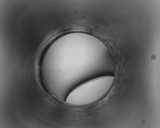 X0000103430247200809121044