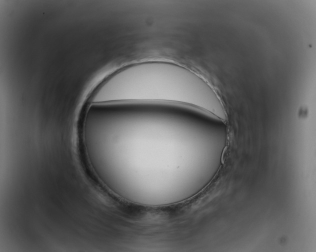 X0000103430248200809121044