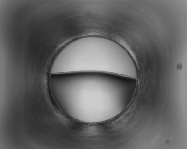 X0000103430249200809121044