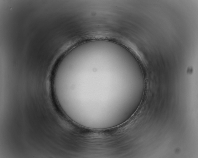 X0000103430250200809121044