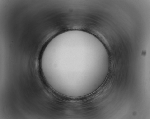 X0000103430251200809121044