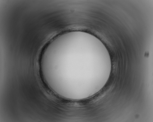 X0000103430254200809121044