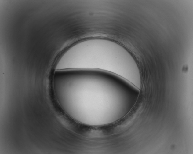 X0000103430256200809121044