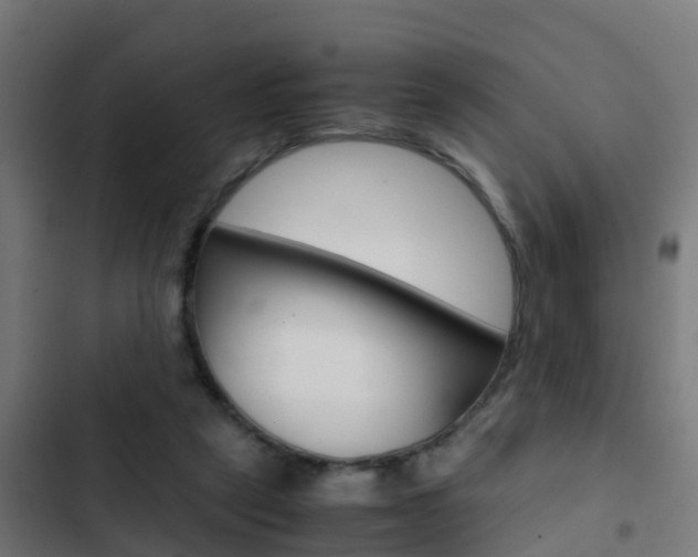X0000103430257200809121044