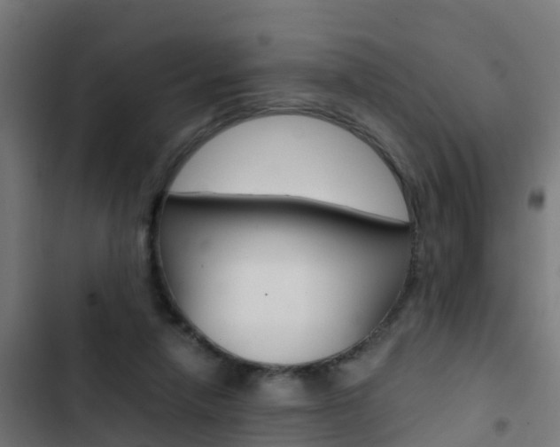 X0000103430258200809121044
