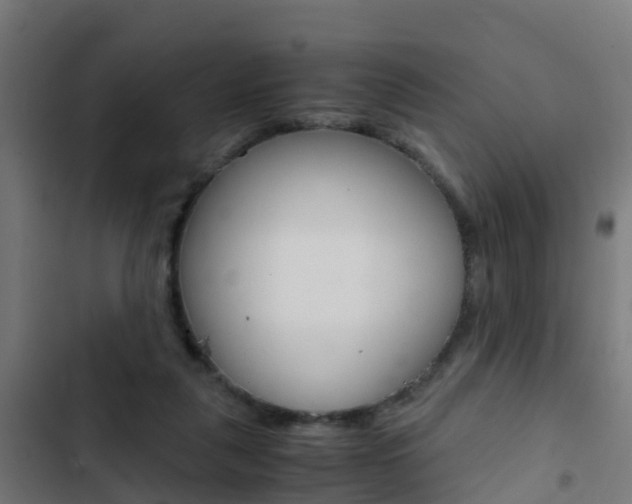 X0000103430259200809121044