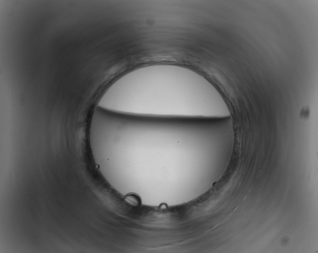 X0000103430260200809121044