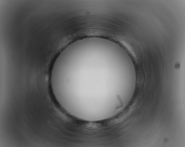 X0000103430261200809121044
