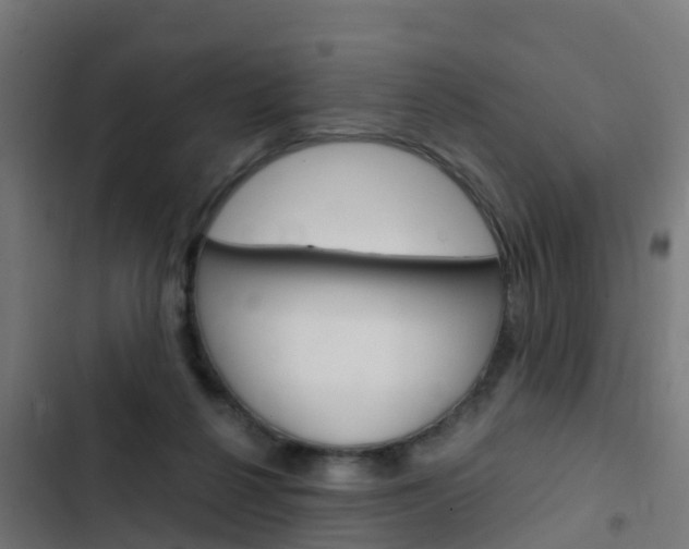 X0000103430264200809121044