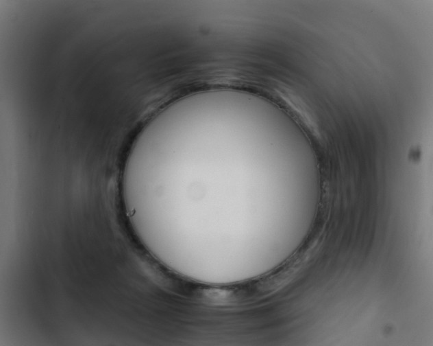 X0000103430265200809121044