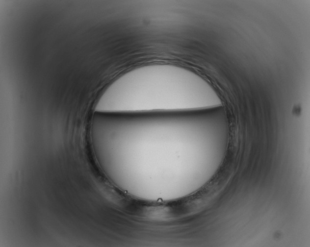X0000103430266200809121044