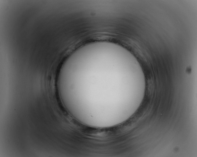 X0000103430267200809121044