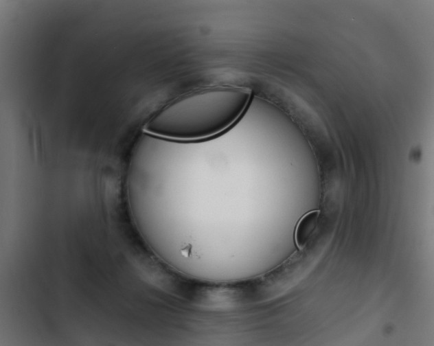 X0000103430268200809121044