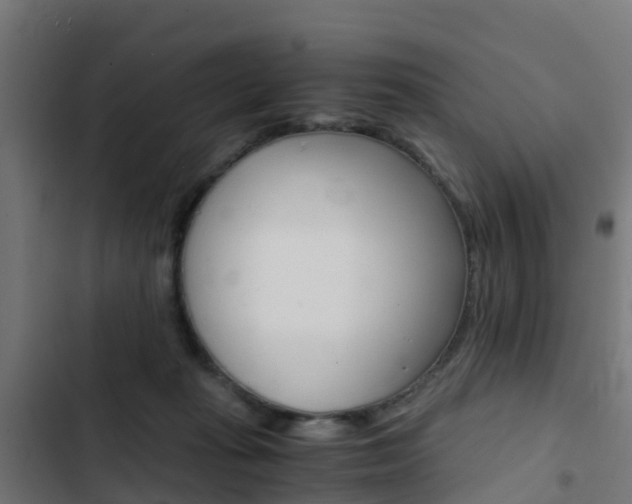 X0000103430269200809121044