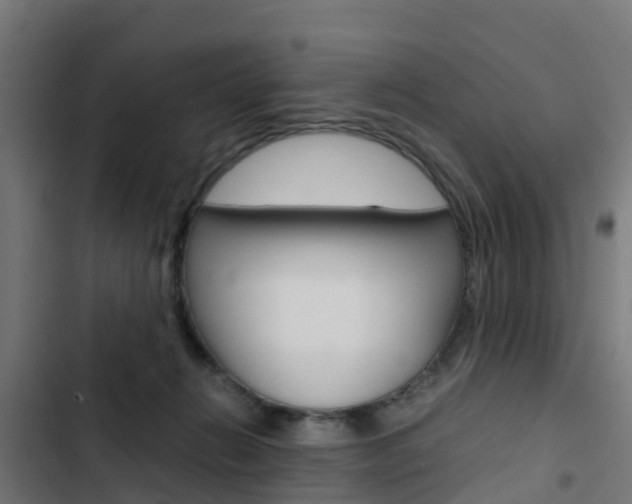 X0000103430270200809121044