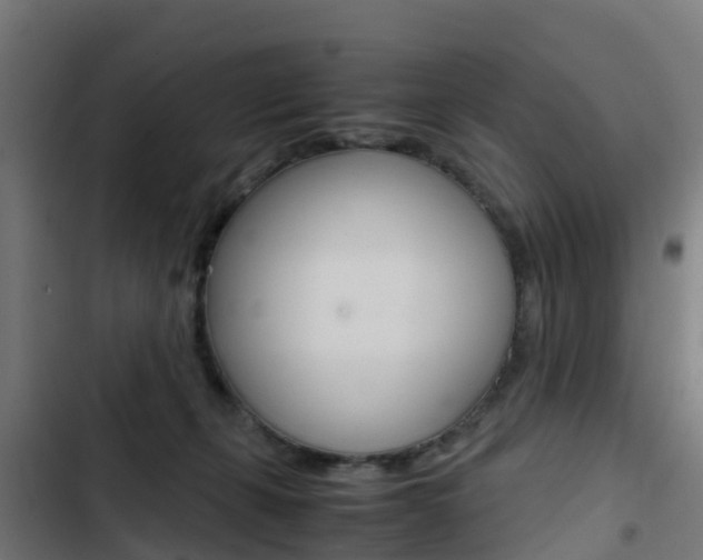 X0000103430271200809121044