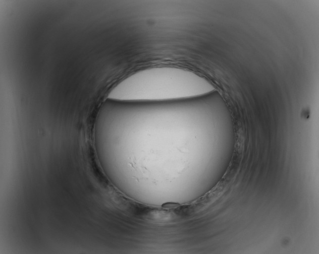 X0000103430272200809121044