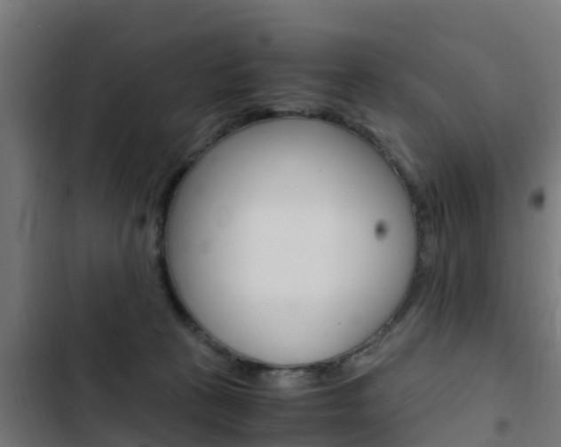 X0000103430273200809121044