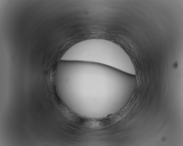 X0000103430276200809121044