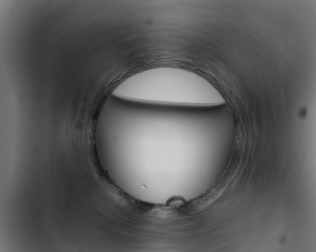 X0000103430280200809121044