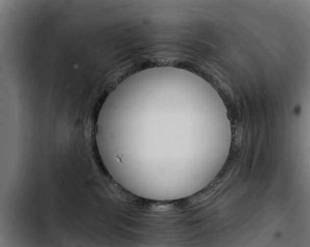 X0000103430283200809121044