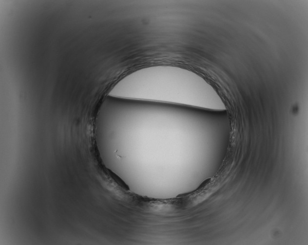 X0000103430284200809121044