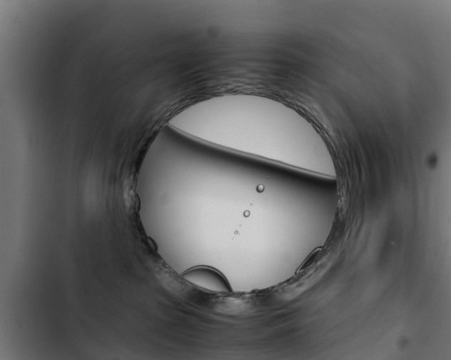X0000103430285200809121044