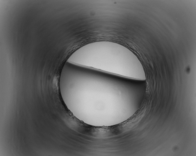 X0000103430286200809121044
