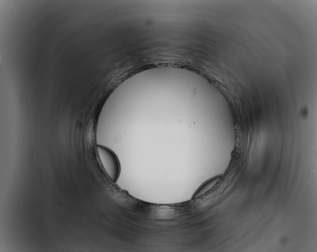 X0000103430287200809121044